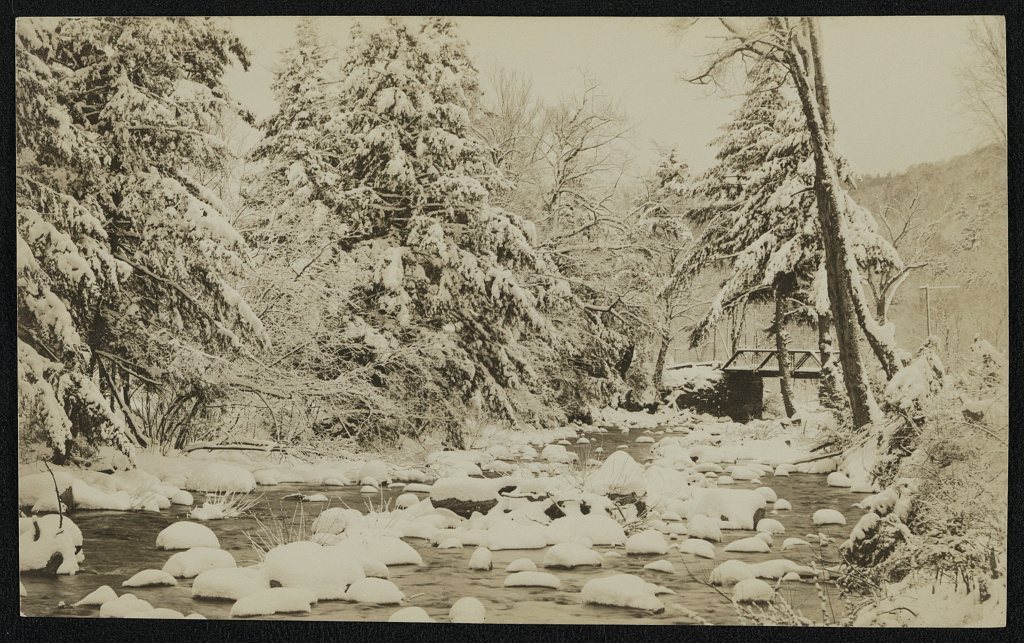 After the storm [Smith Brook]