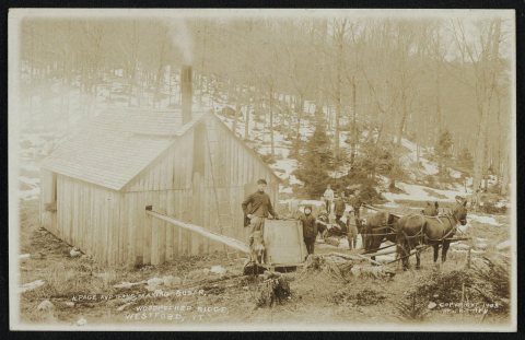 H. Page and gang making sugar, Woodpecker Ridge