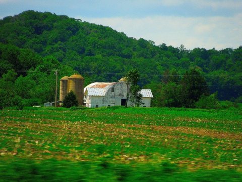 Farm in the Sumpter Township