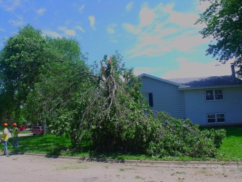 2010 Cross Plains EF1 Tornado Damage - panoramio (1)