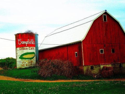 Campbell's Golden Corn Soup Silo