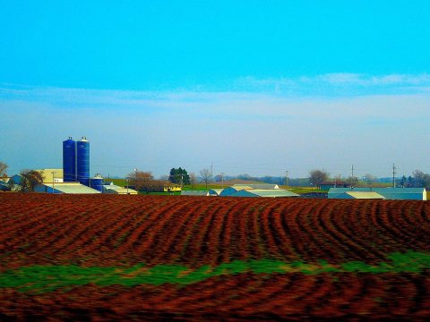 Farm Between Waunakee and Middleton