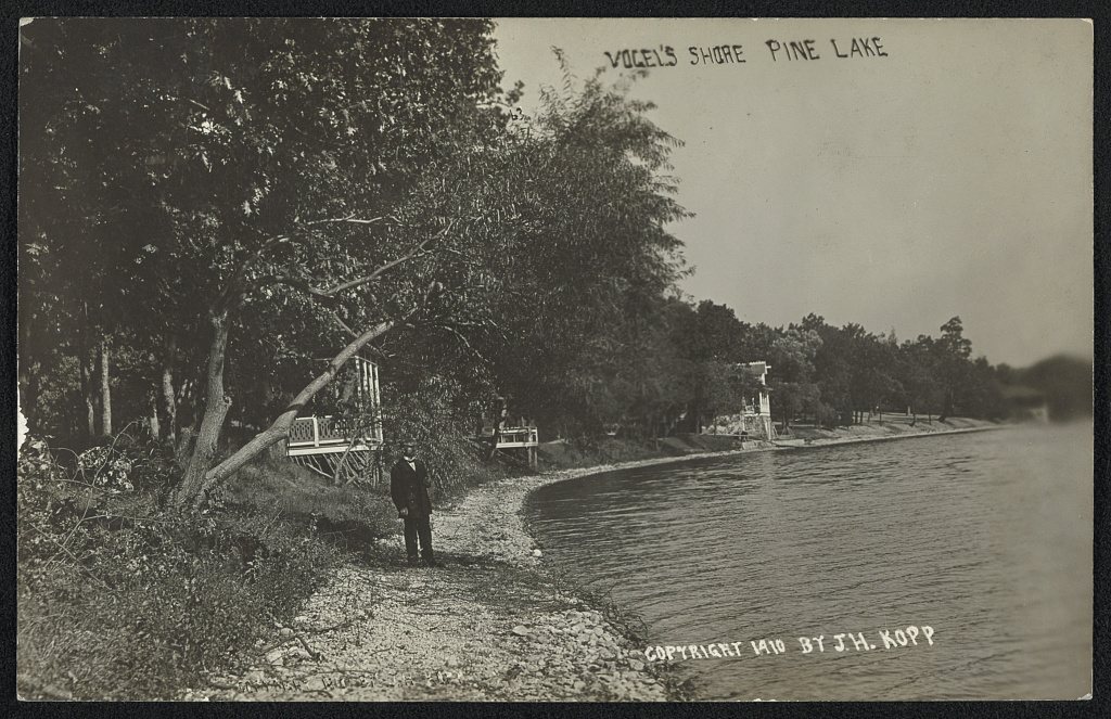 Vogel's Shore