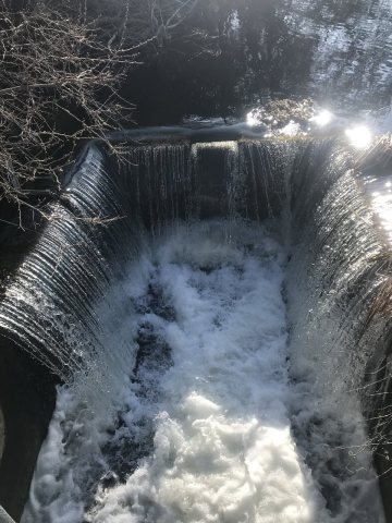 Bischel Dam 03