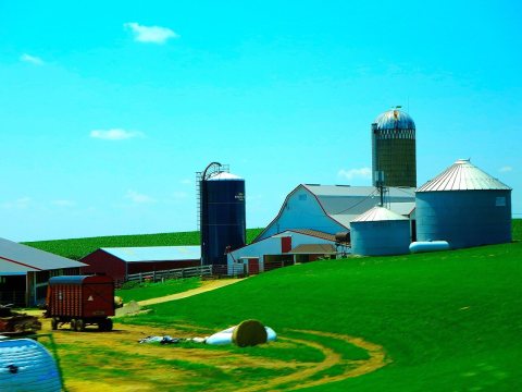 Dairy Farm near Monfort