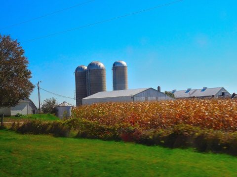 Farm with Three Silos - panoramio (34)