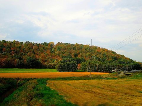 Driftless Area - panoramio (18)
