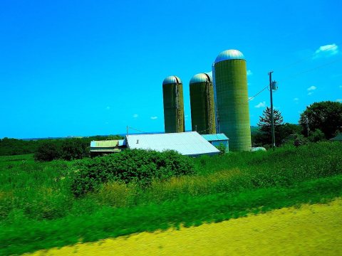 Farm with Three Silos - panoramio (7)