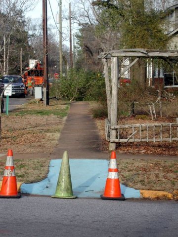 Highland Street tree removal