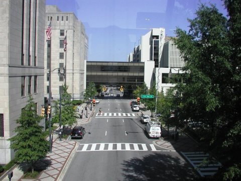 The View to the North