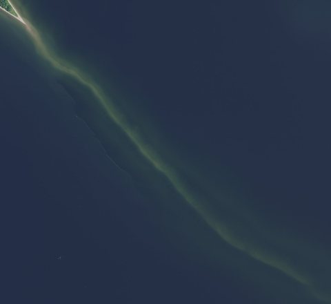 Hanover Shoal off of Chambers Island, town of Gibraltar, Door County, Wisconsin 2020 (cropped)