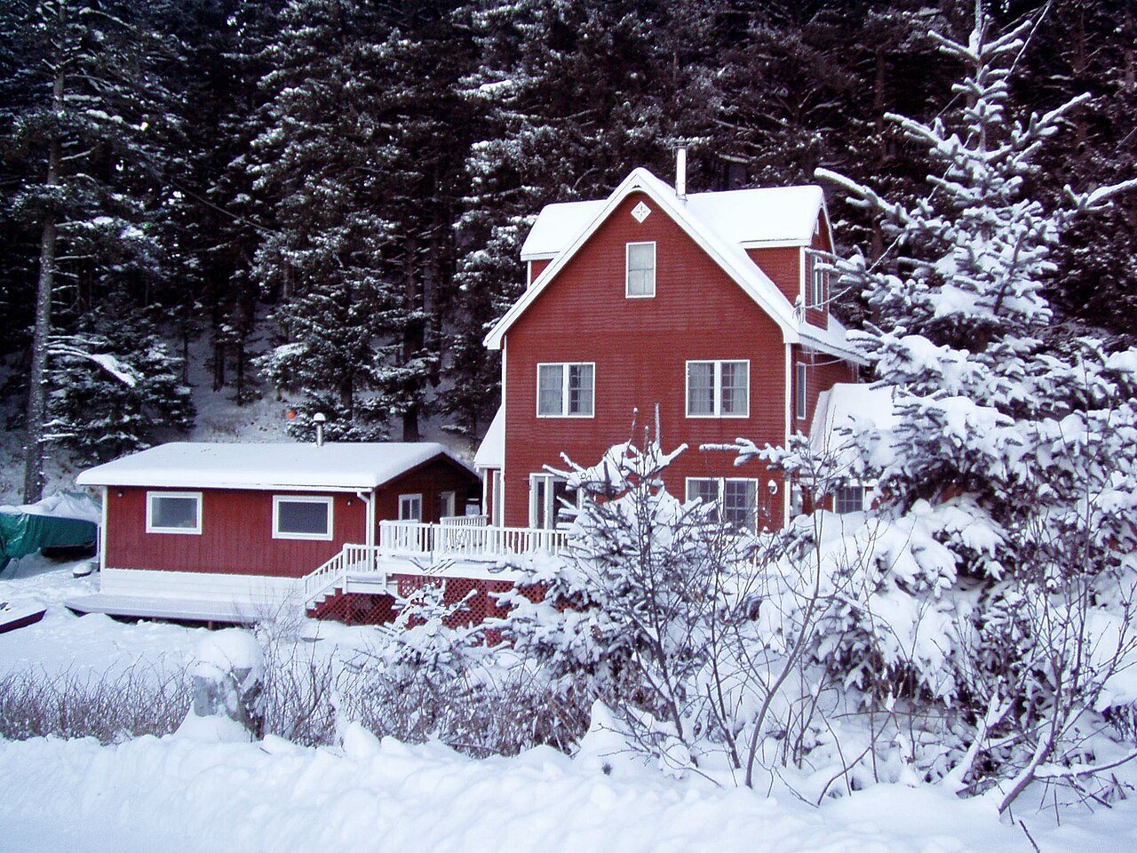 Lilly Drive House