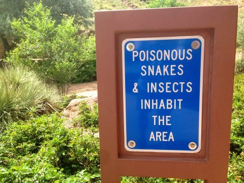 It's Good to Be Back in Arizona