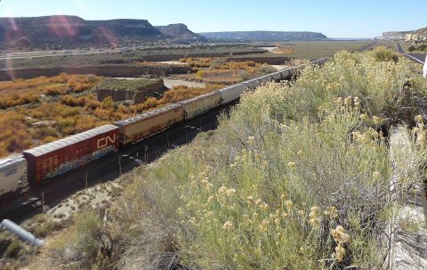 Train