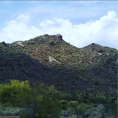 A mountain koo