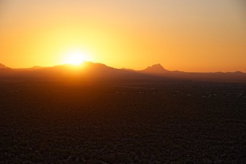2022-06-13 USA, AZ, Saguaro DSC 5292 DxO