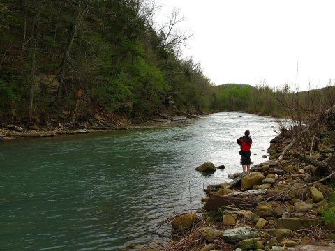 Fishing the Buffalo