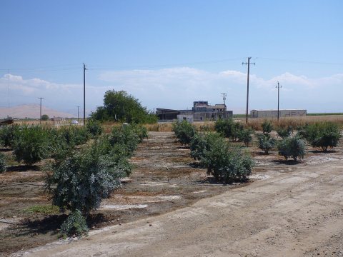 August 2012 - panoramio (100)