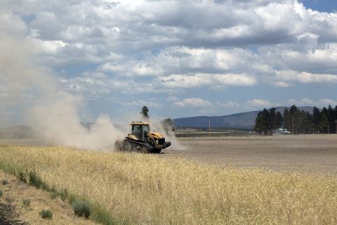 Farm scene in dry