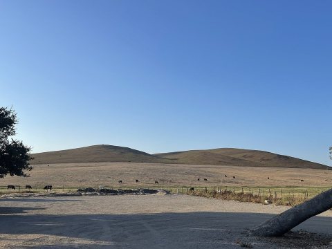 Hills north of Casmalia - September 2023 - Sarah Stierch