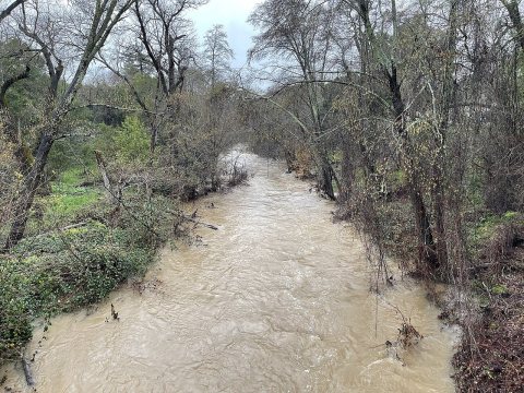 Sonoma Creek in Eldridge - December 2022 - Sarah Stierch
