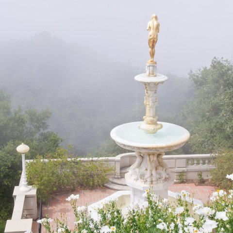 Pacific overlook on a foggy morning