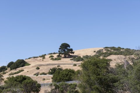 Scenic views along route 46 in California