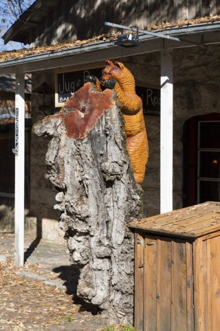 Tree stump bear sculpture in the town of Volcano, California, named for its setting in a bowl-shaped valley that early …