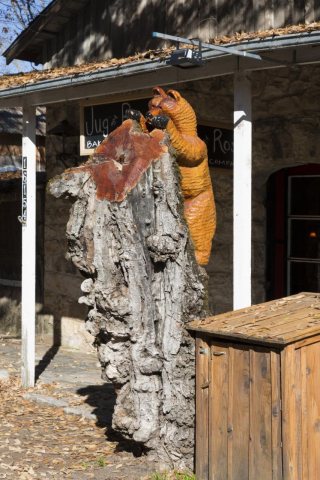 Tree stump bear sculpture in the town of Volcano, California, named for its setting in a bowl-shaped valley that early …