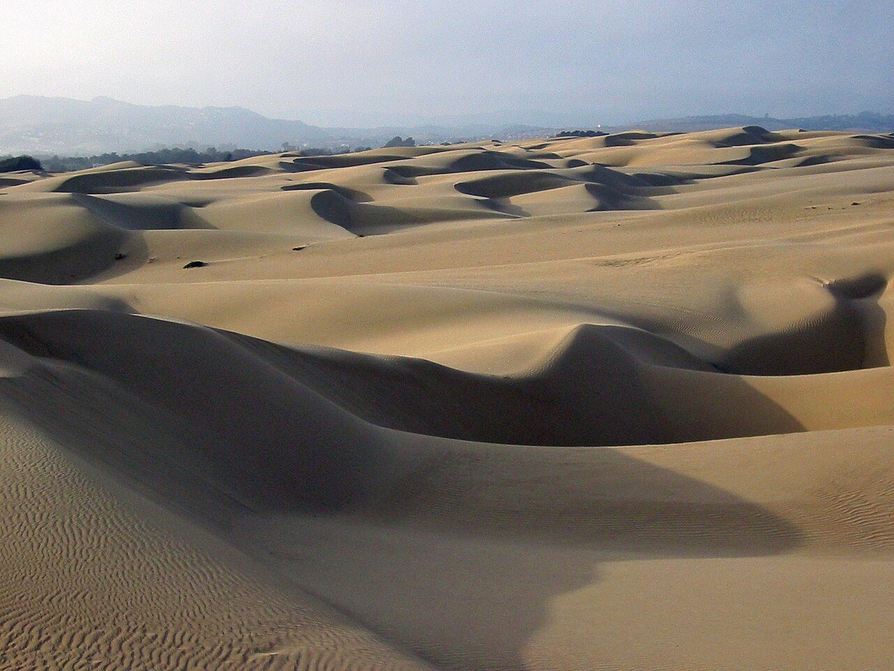 Sand dunes