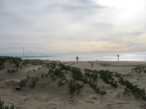 View of the Guadalupe-Nipomo Dunes from