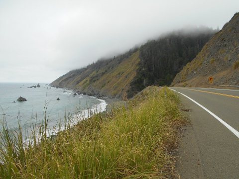 Along coastline north of Fort Bragg, CA