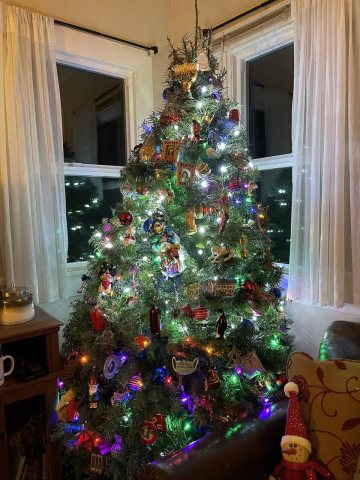 Christmas tree - December 2021 - Sarah Stierch