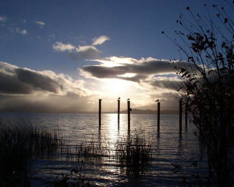 Lake County California - panoramio (6)