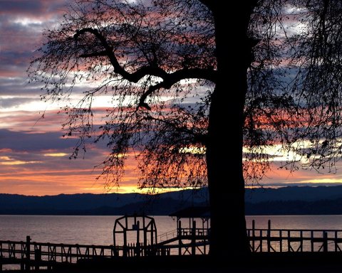 Lake County California - panoramio (5)