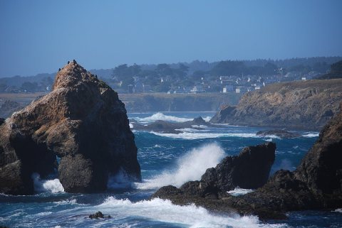Mendocino Coast