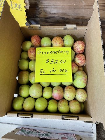 Gowan's Oak Tree Fruit Stand - August 2022 - Sarah Stierch