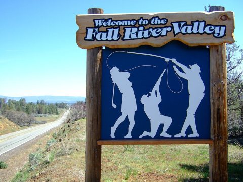 Welcome To