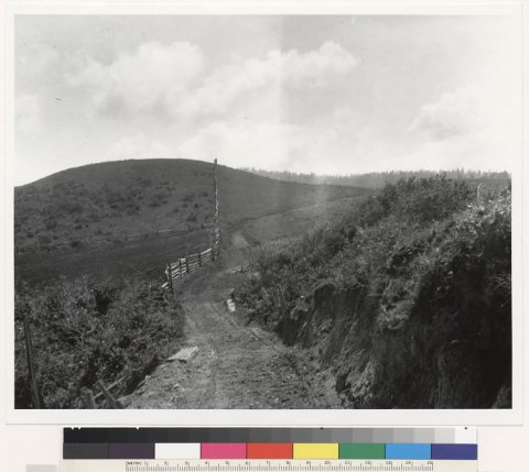 East-west fault line fence near Manchester, offset by fault. Looking east, road & fence repaired since earthquake