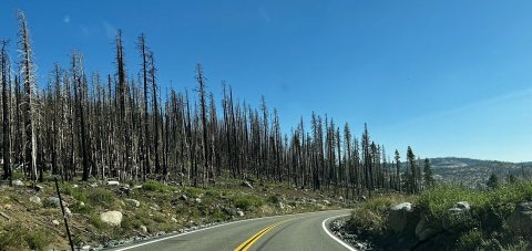 Pioneer, California