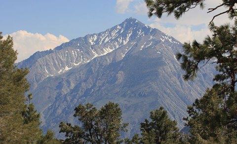 Mt Tom from