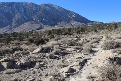 Wagon rd level stretch up toward Swall