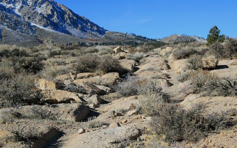 Old wagon road up Sherwin Grade to