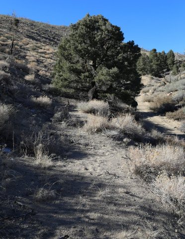 Old wagon Rd above 4x to Toms Place