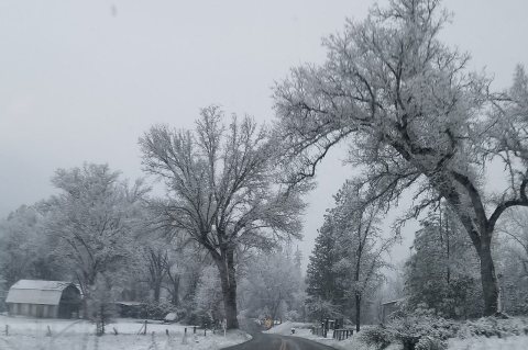Midpines, California during the winter