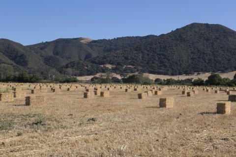 Farmland in