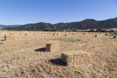 Farmland in