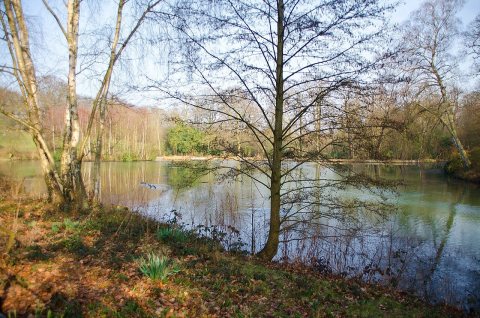 Wood Pond