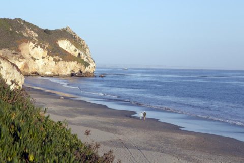 Pacific coastline, California