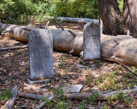 Forbestown Cemetery (2025)-L1007523